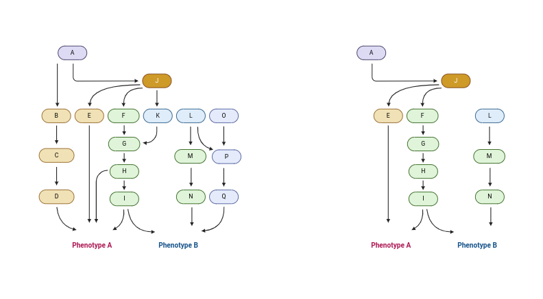 Network Reduction Concept